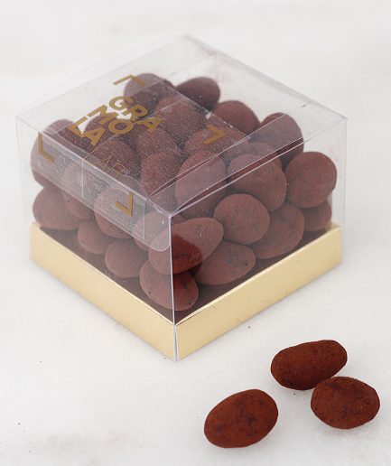 Almonds with gianduja and cocoa